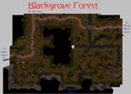 Blackgrove Forest